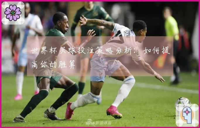 世界杯买球投注策略分析：如何提高你的胜算