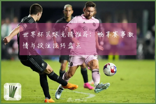 世界杯买球竞猜推荐：畅享赛事激情与投注技巧盘点