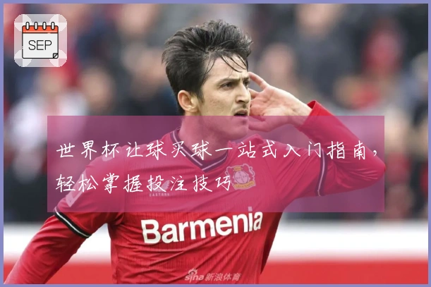 世界杯让球买球一站式入门指南，轻松掌握投注技巧